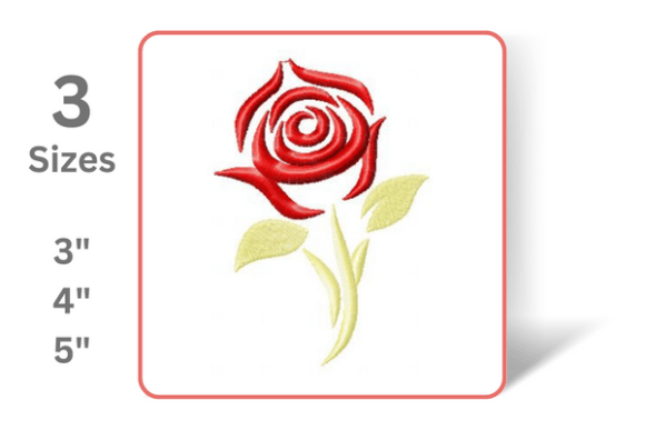Stylish Rose: A Designer’s Real-World Review